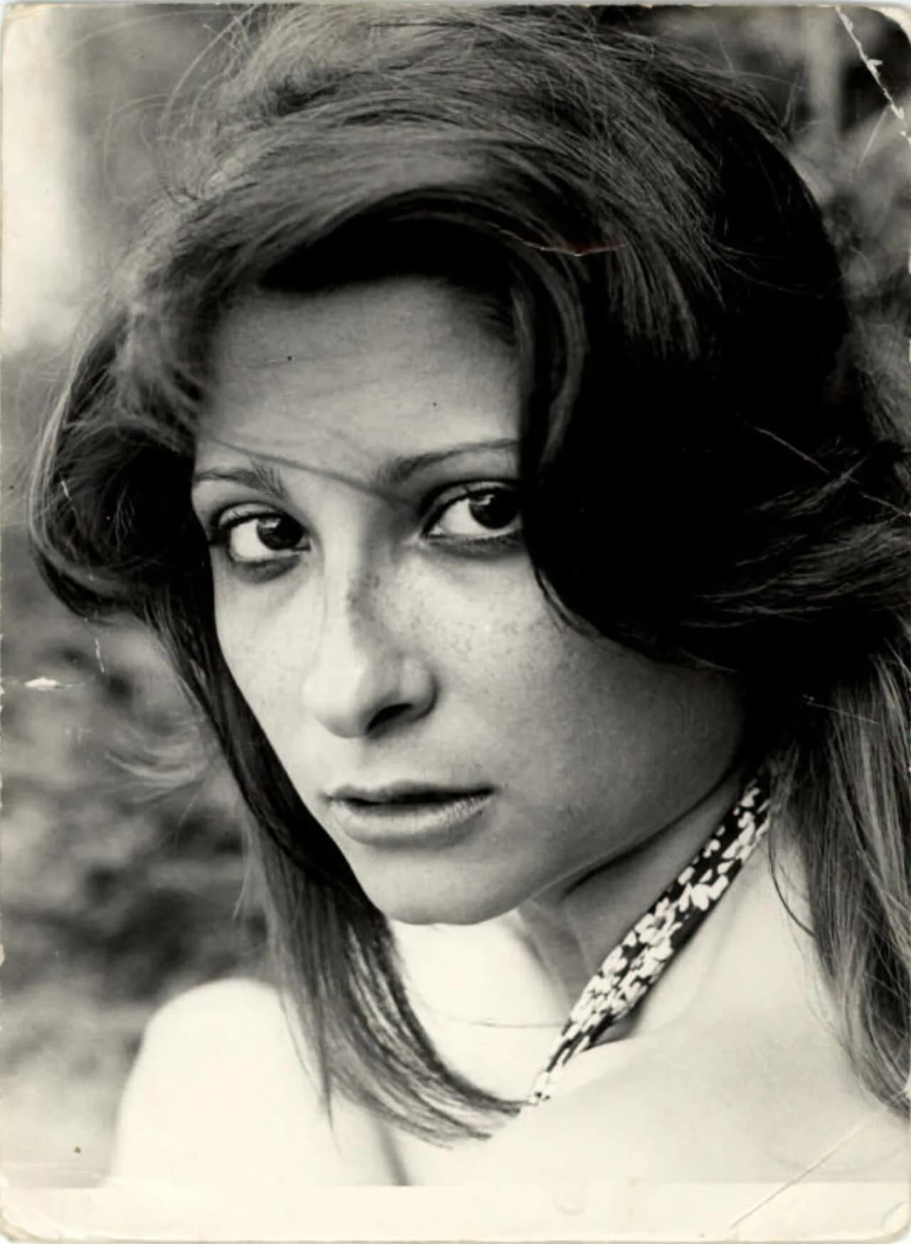 Mihaela Mitrache