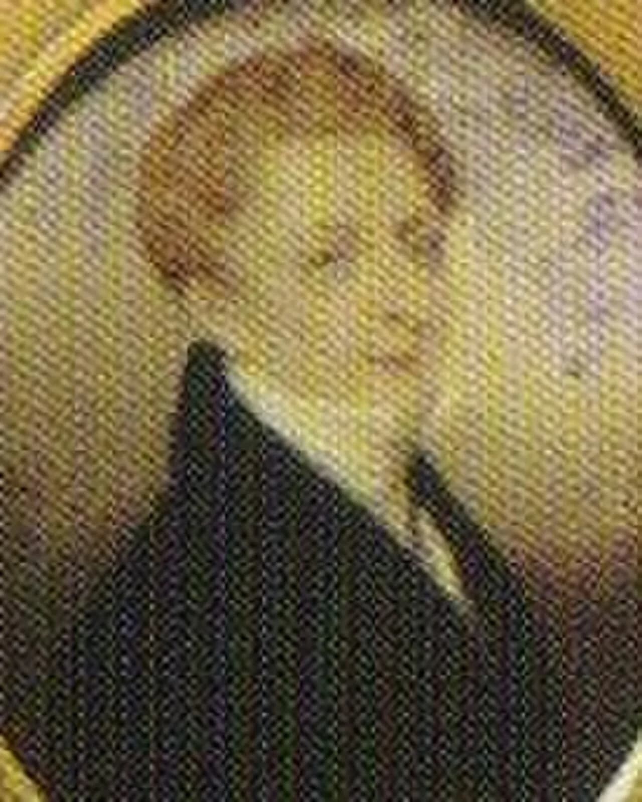 Mortimer Lewis