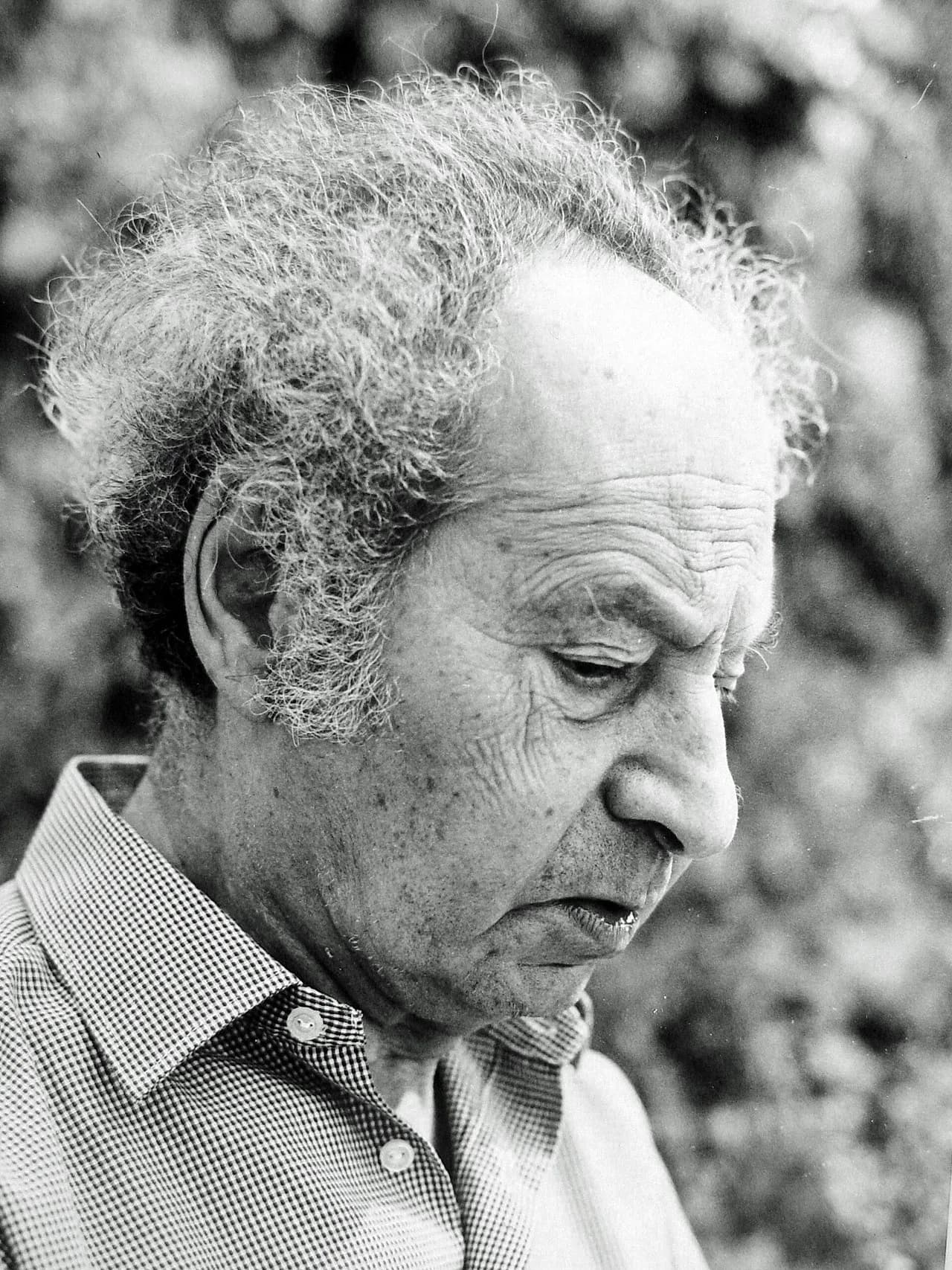 Henri Friedlaender