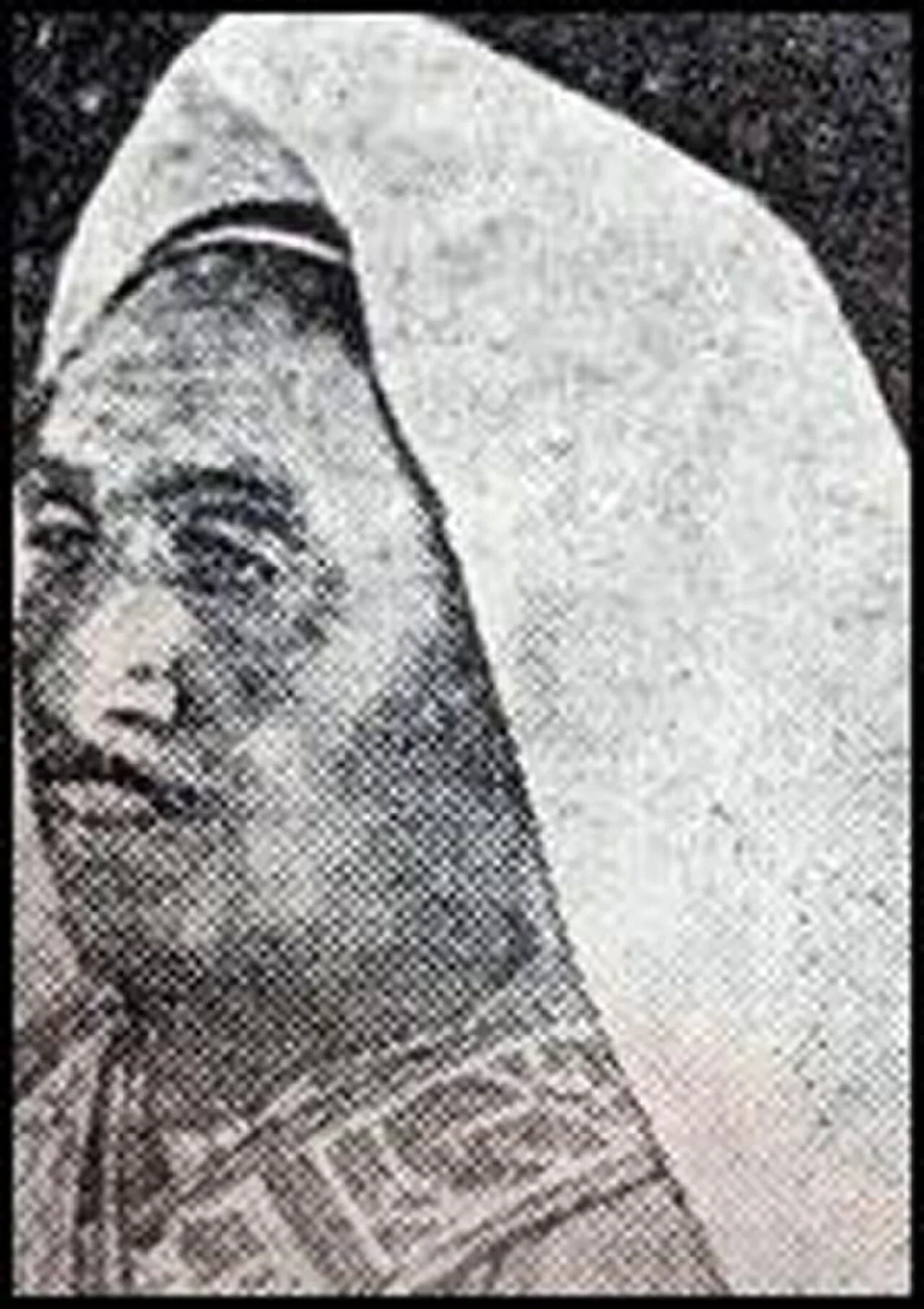 Muhammad ibn Ali al-Idrisi