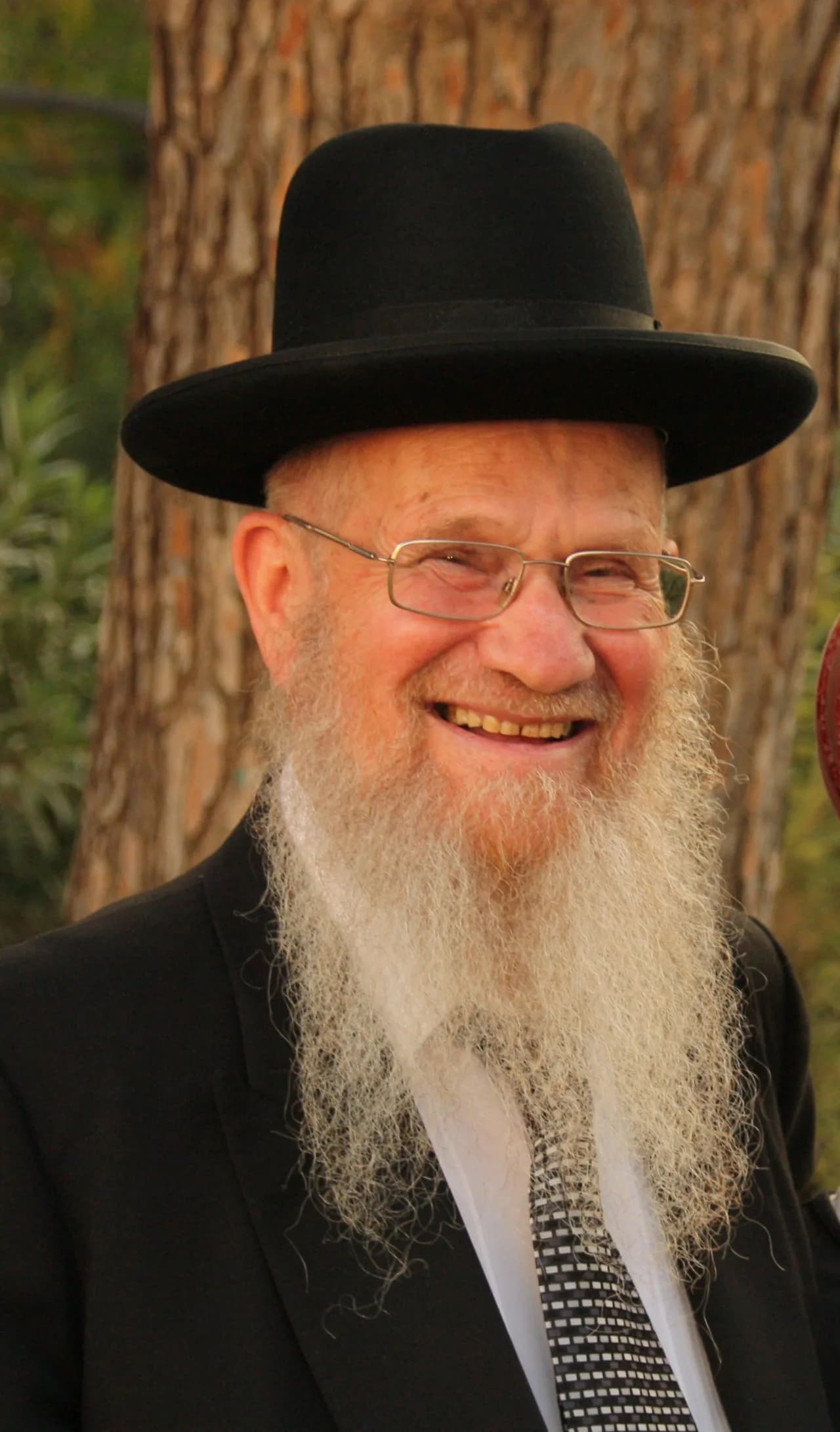Yeshayahu Hadari