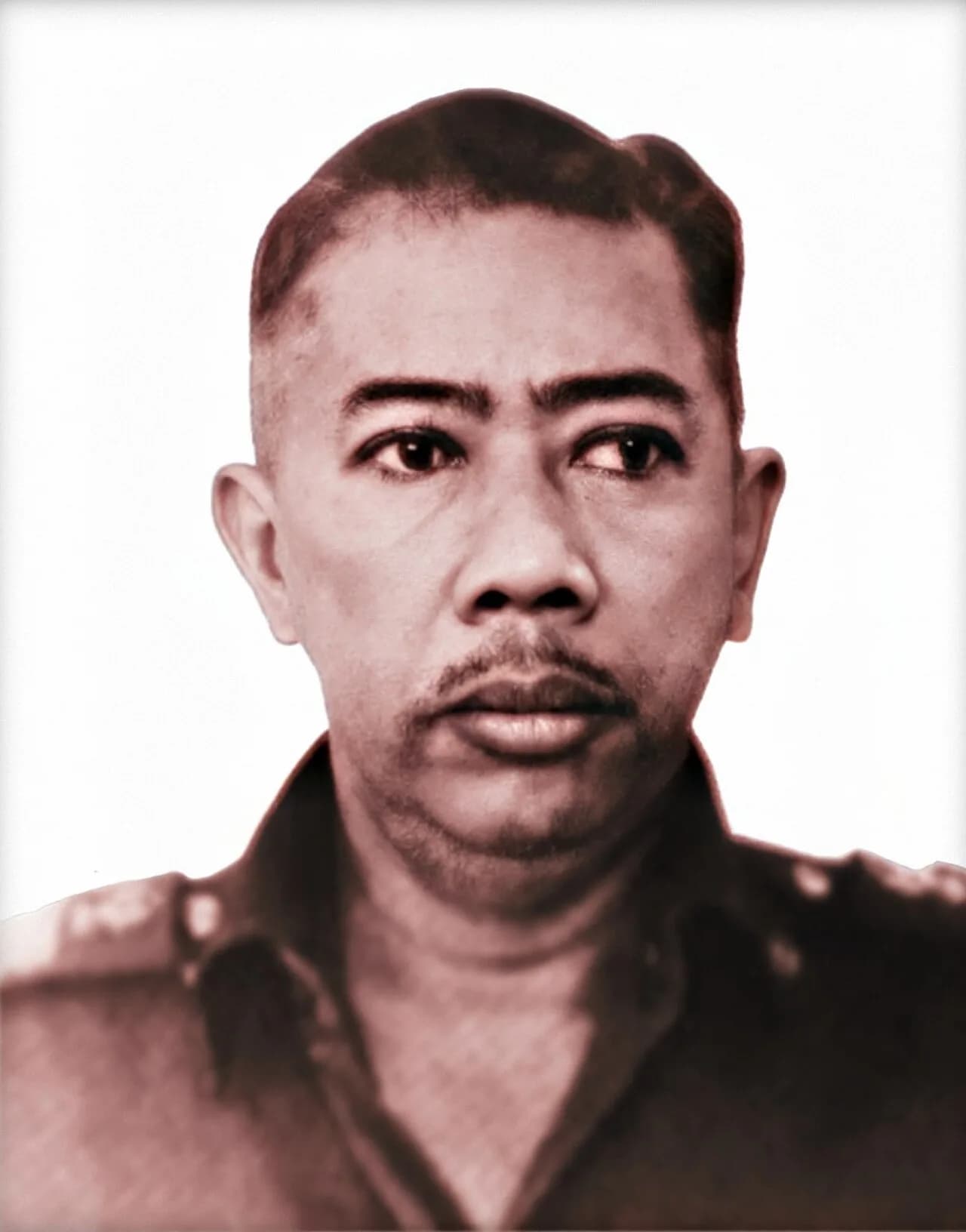 Wiluyo Puspoyudo