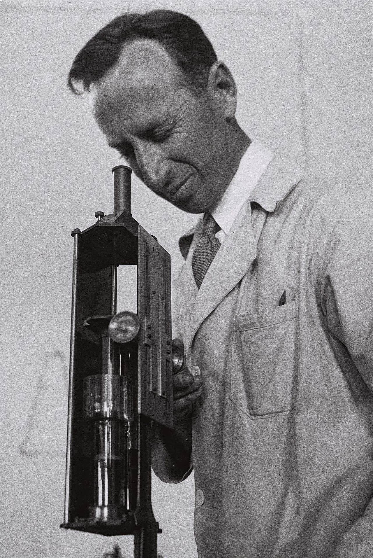 Shlomo Ravikovitch