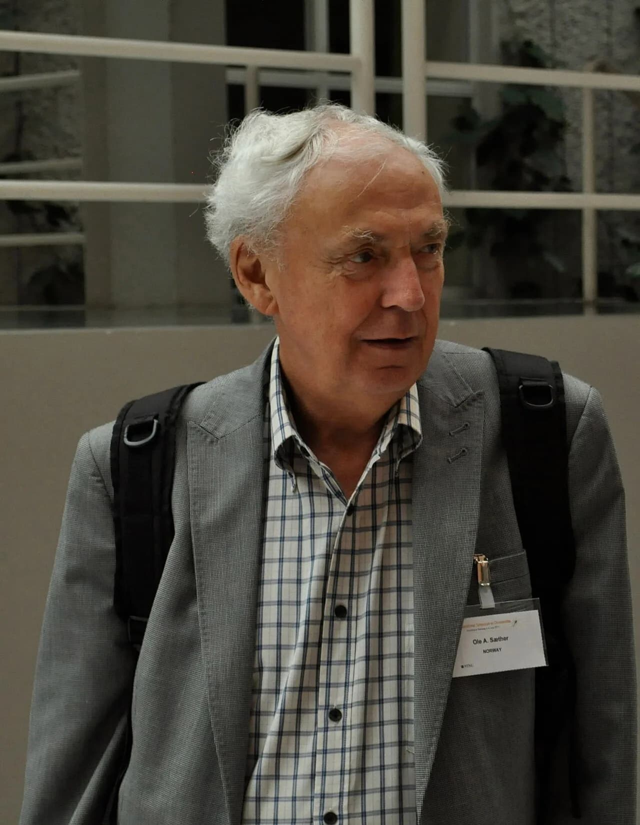 Ole Anton Saether