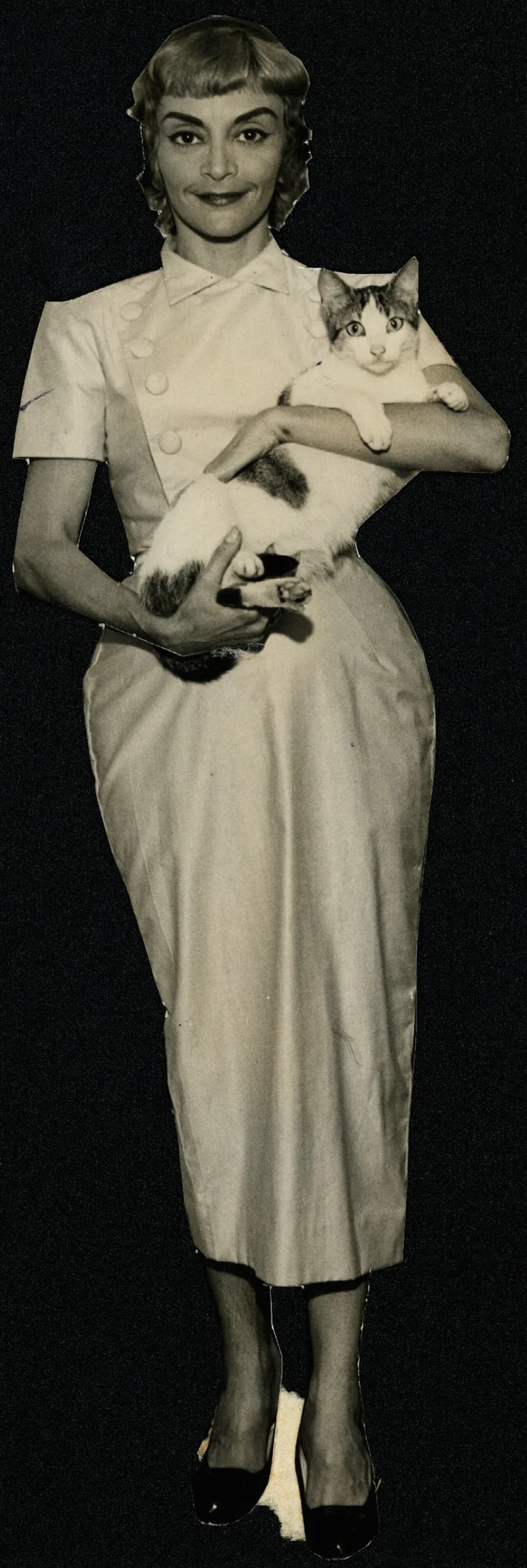 Zezé Macedo