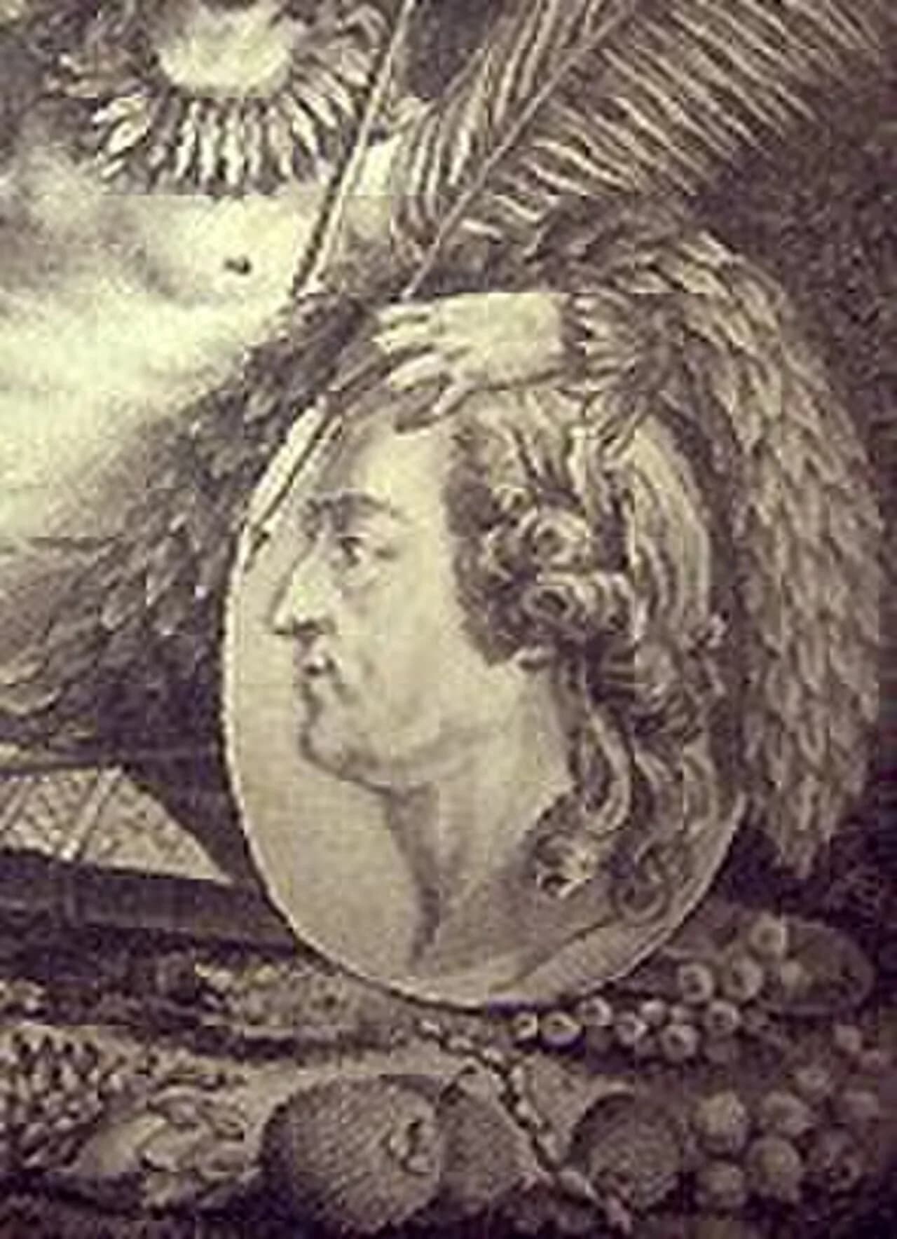 Jean Baptiste Christophe Fusée Aublet