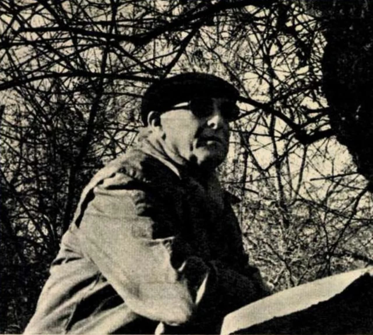 Filip Brunea-Fox