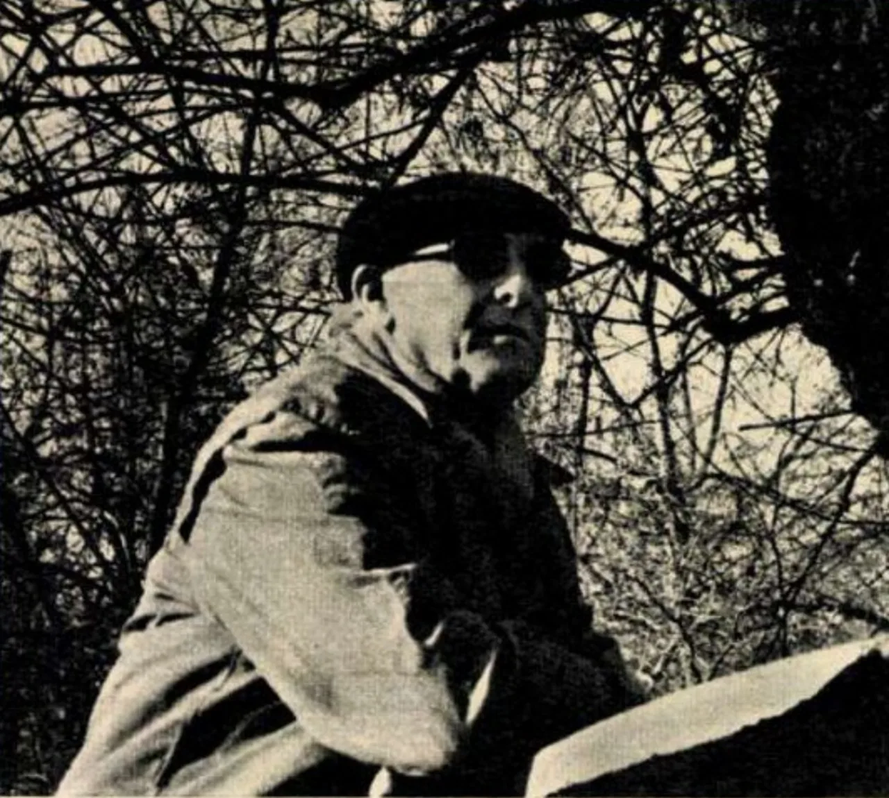 Filip Brunea-Fox
