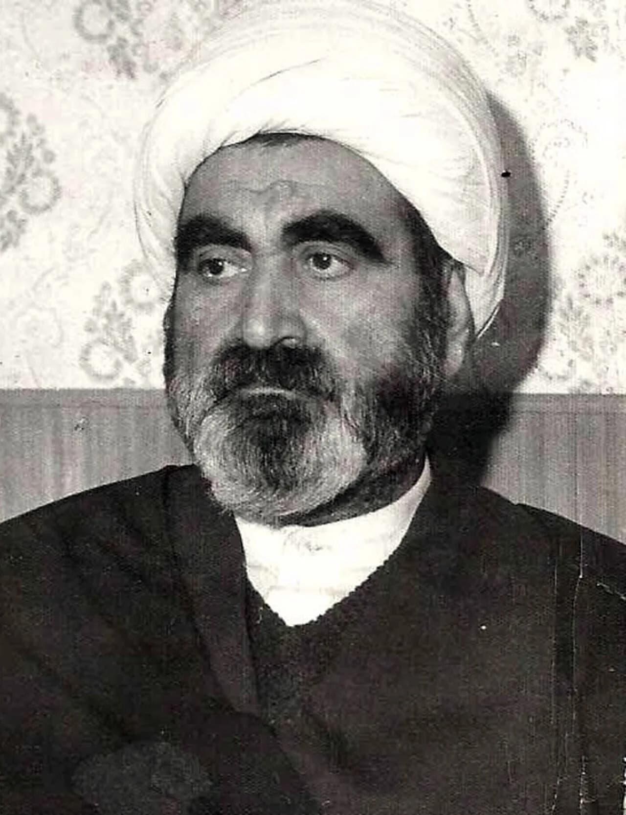Muhamamd Hadi Amini