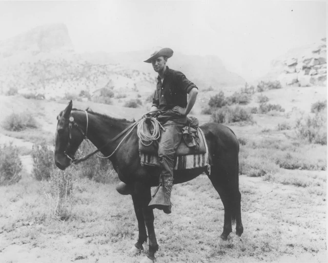 Donald Beauregard