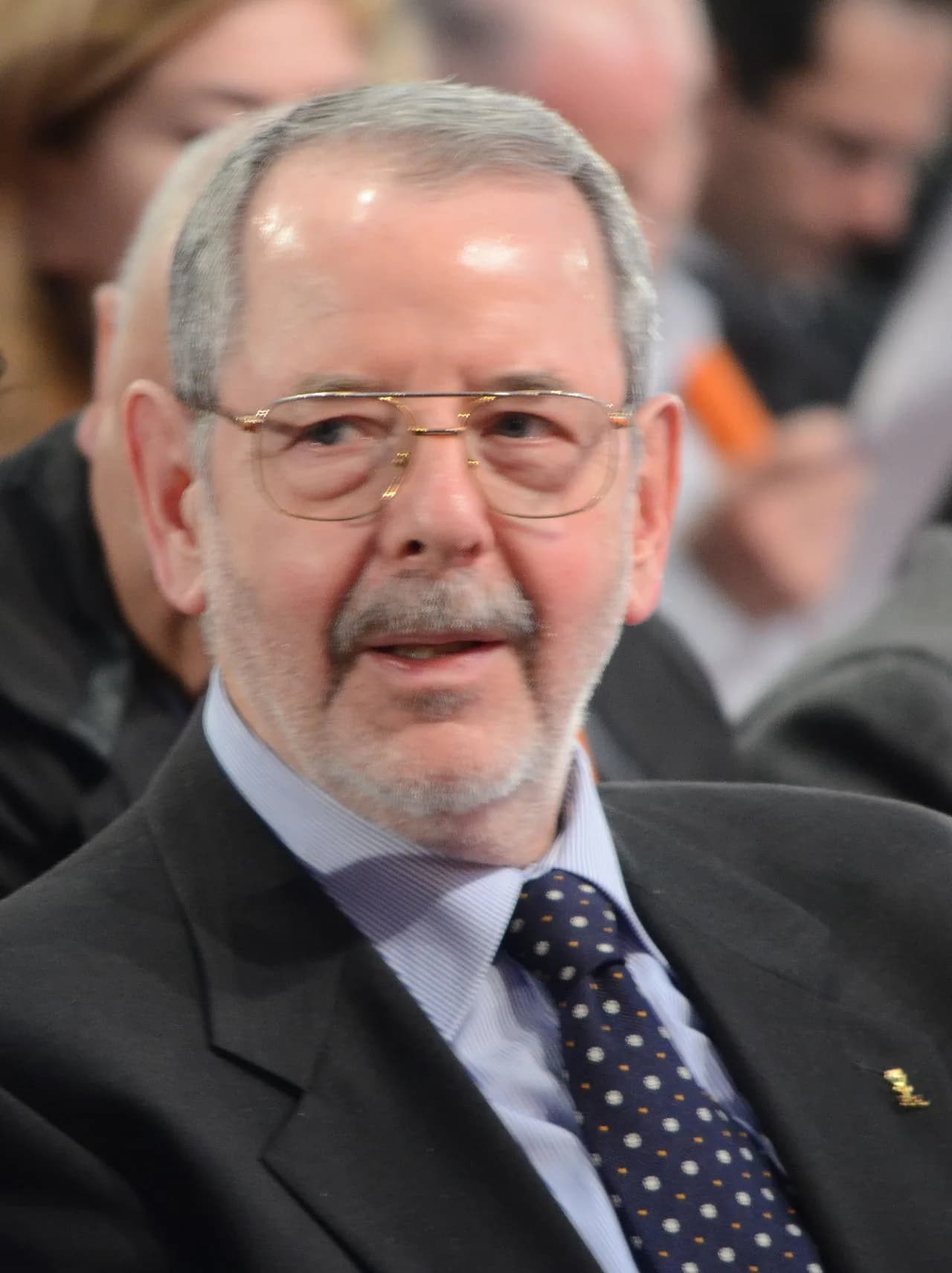 Radu F. Alexandru