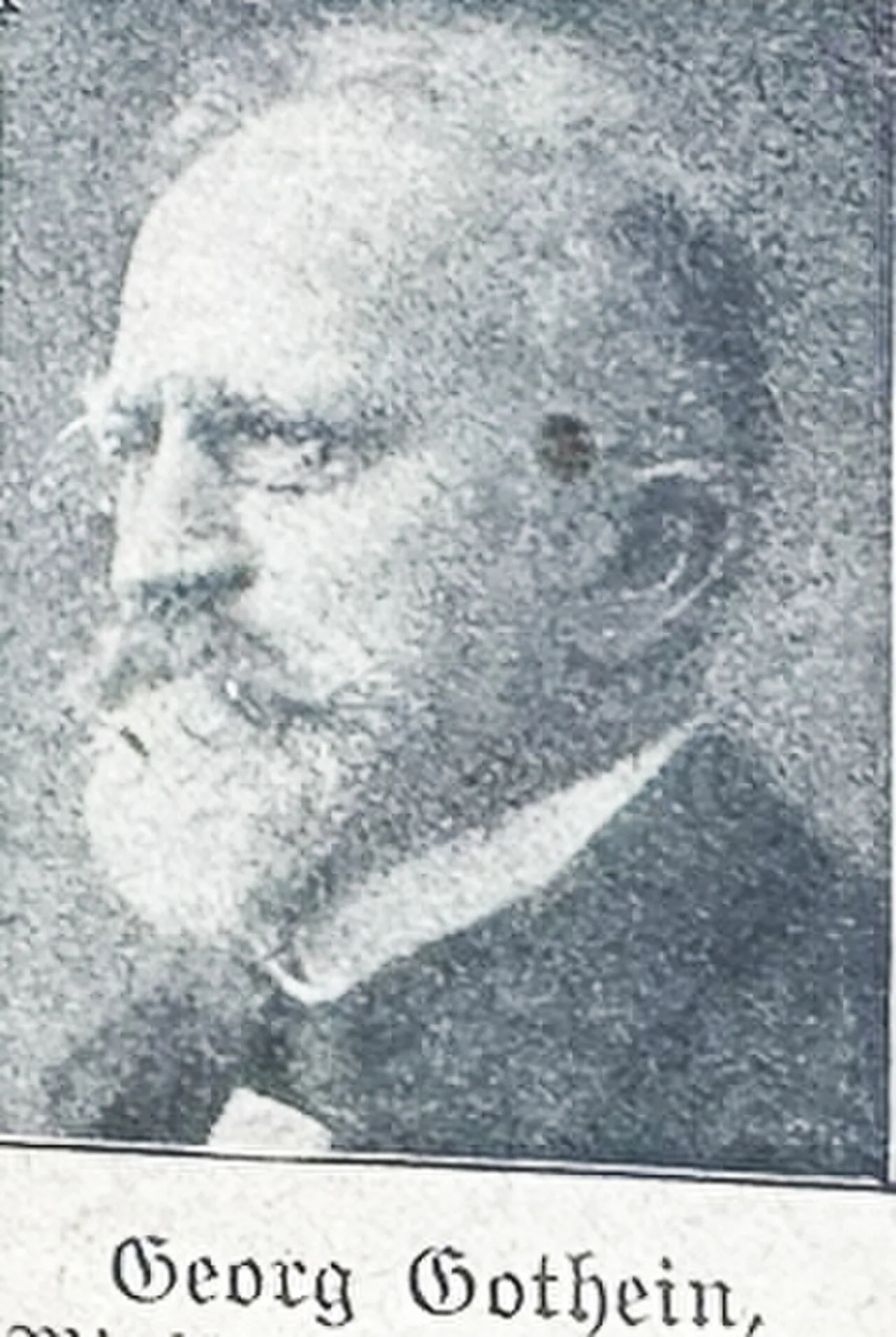 Georg Gothein