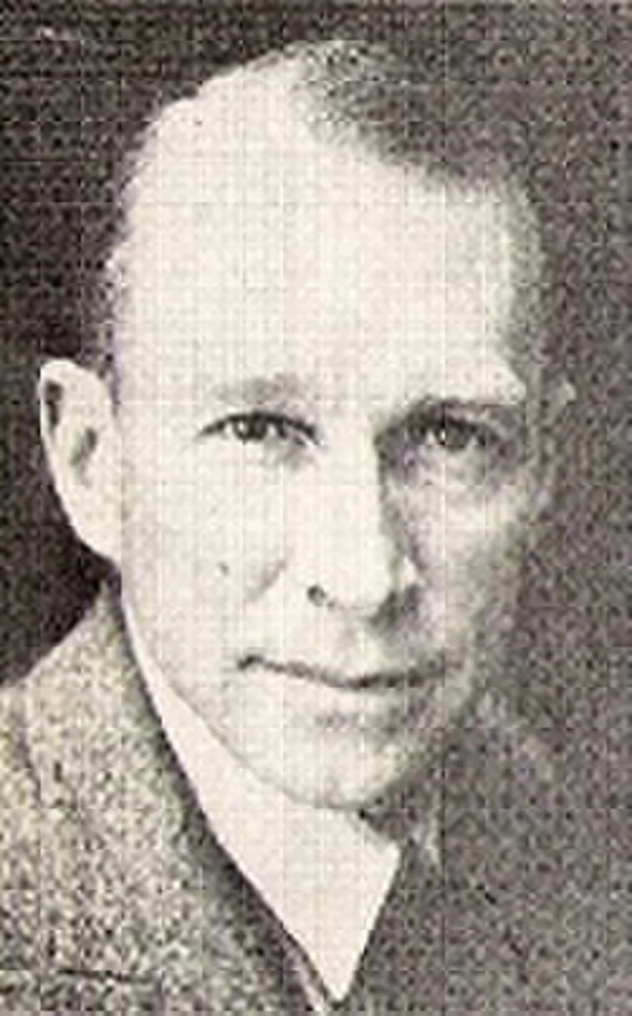 Michael Wilhelm Hamman Theunissen