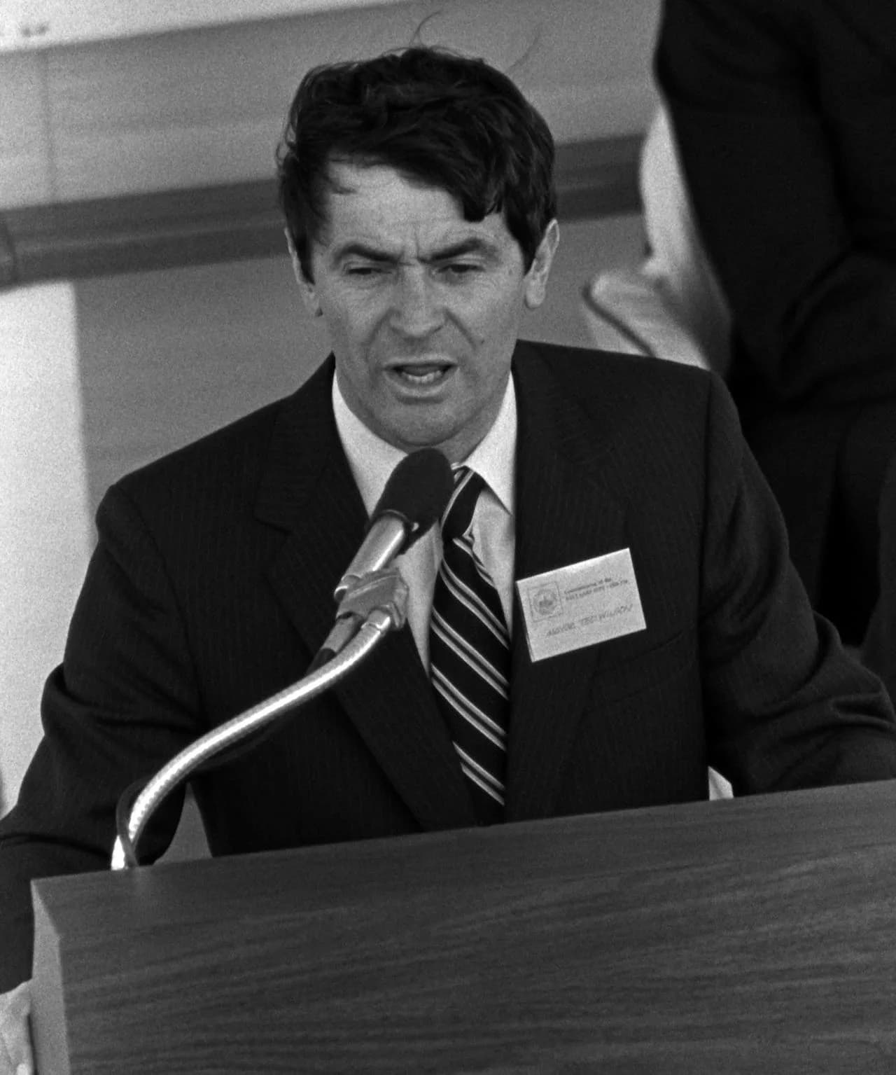Ted Wilson