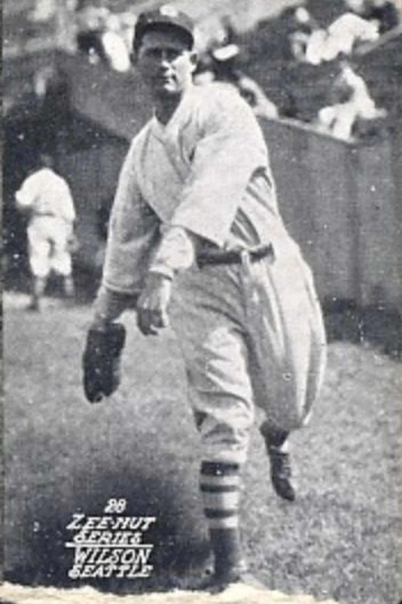 Tex Wilson