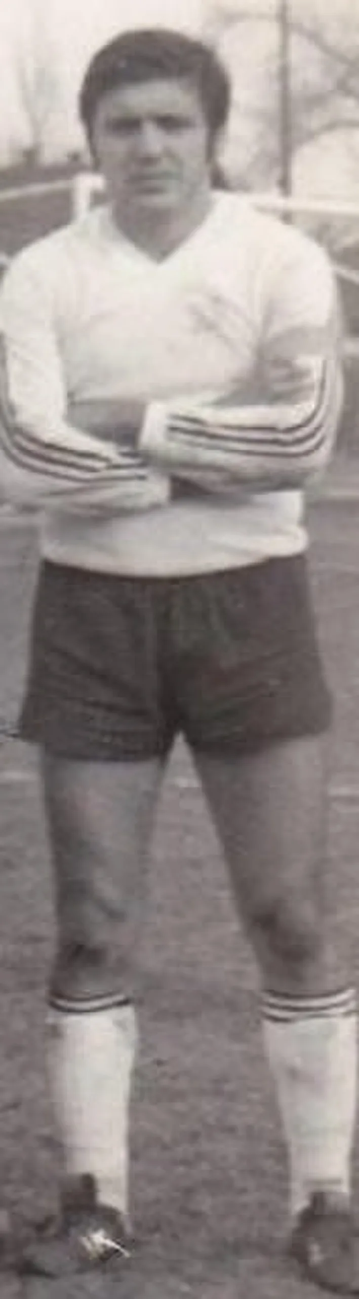 Mihály Arany