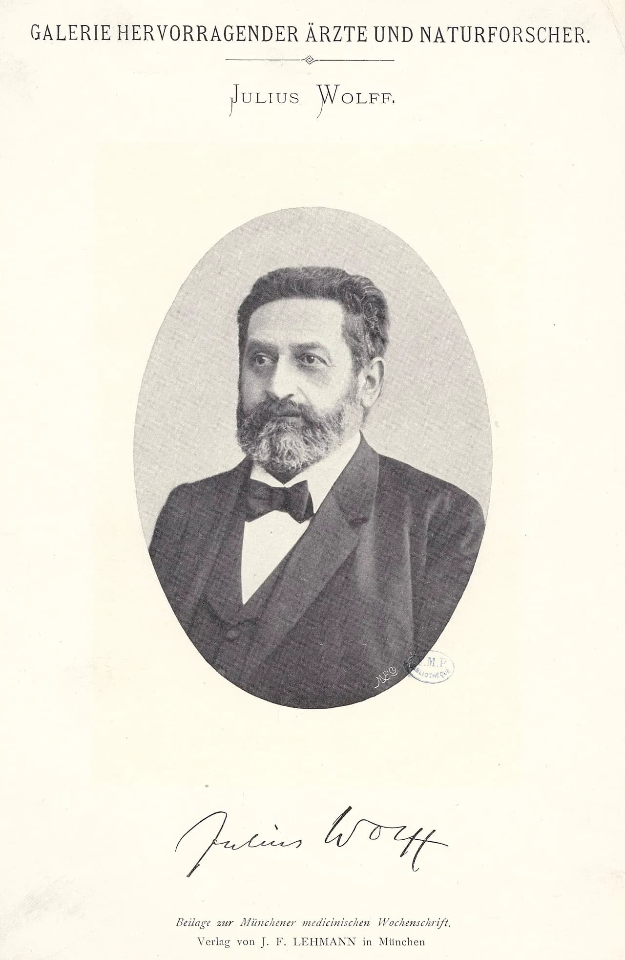 Julius Wolff