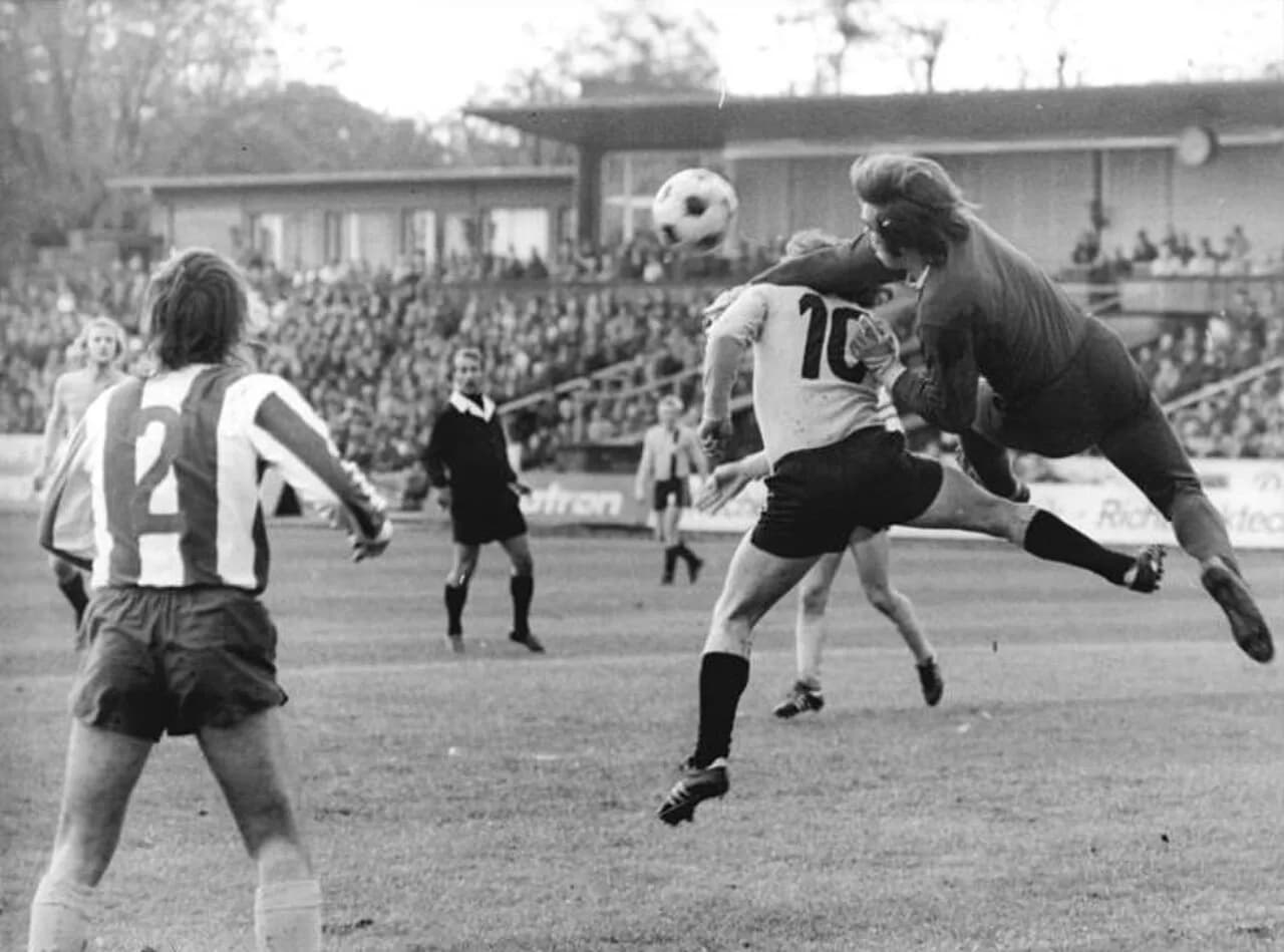 Werner Heine