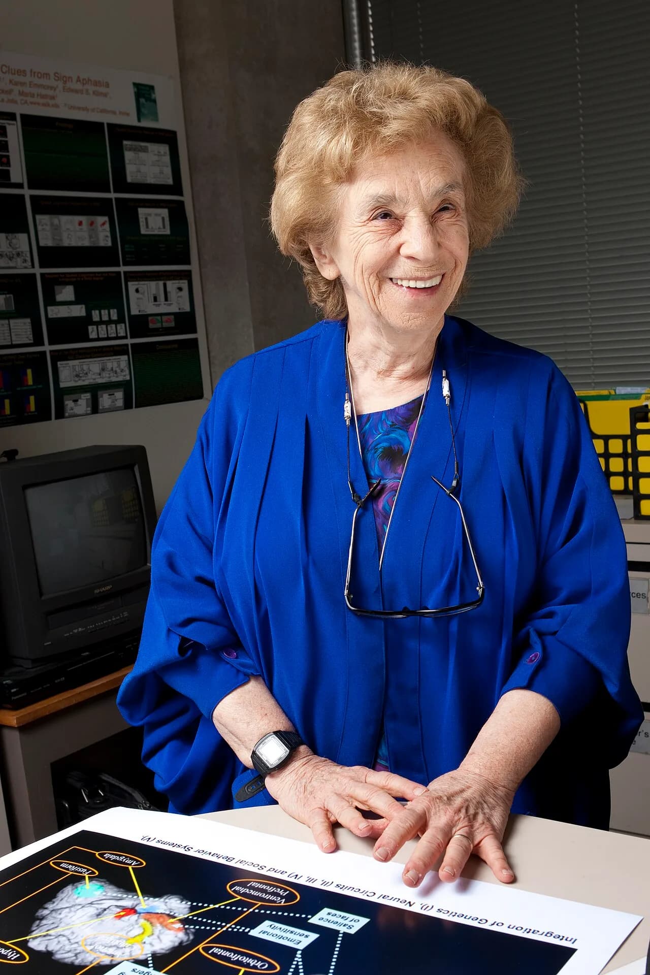 Ursula Bellugi
