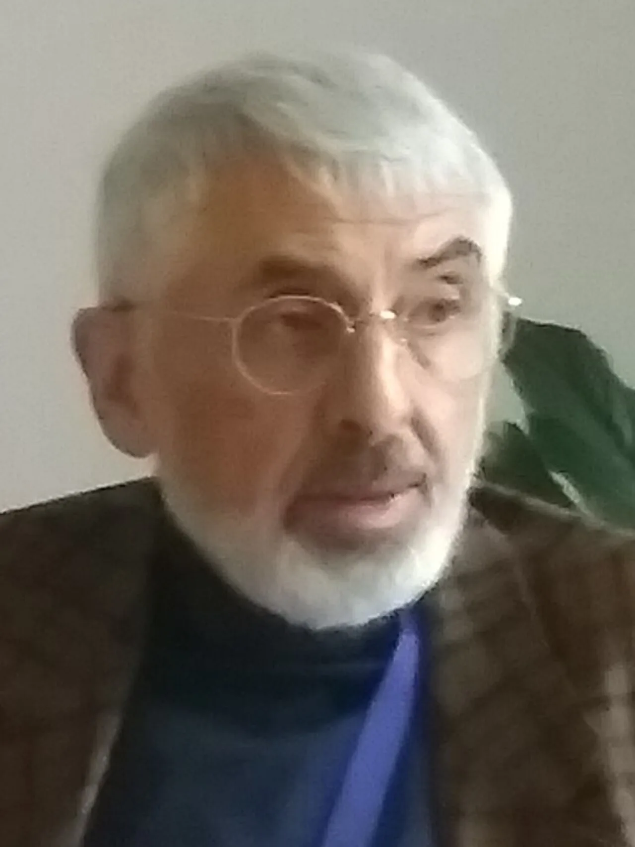 Vladimir Socor