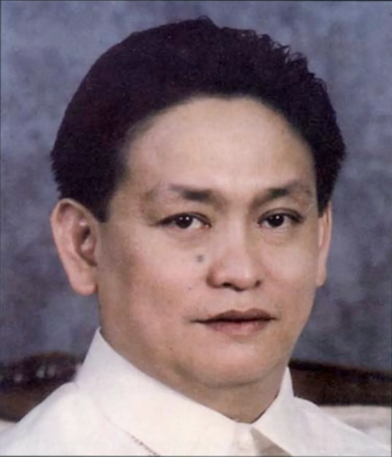 Voltaire Y. Rosales