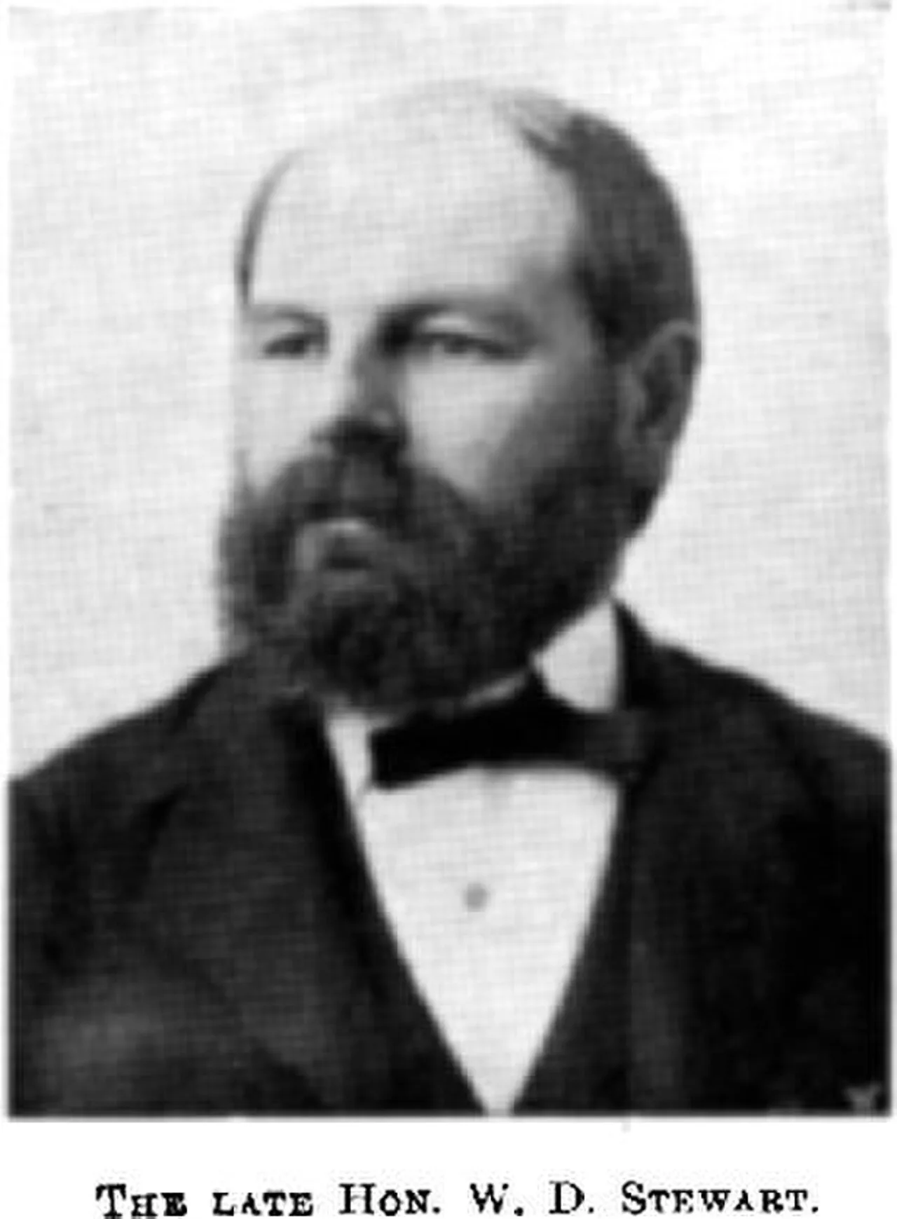 William Downie Stewart