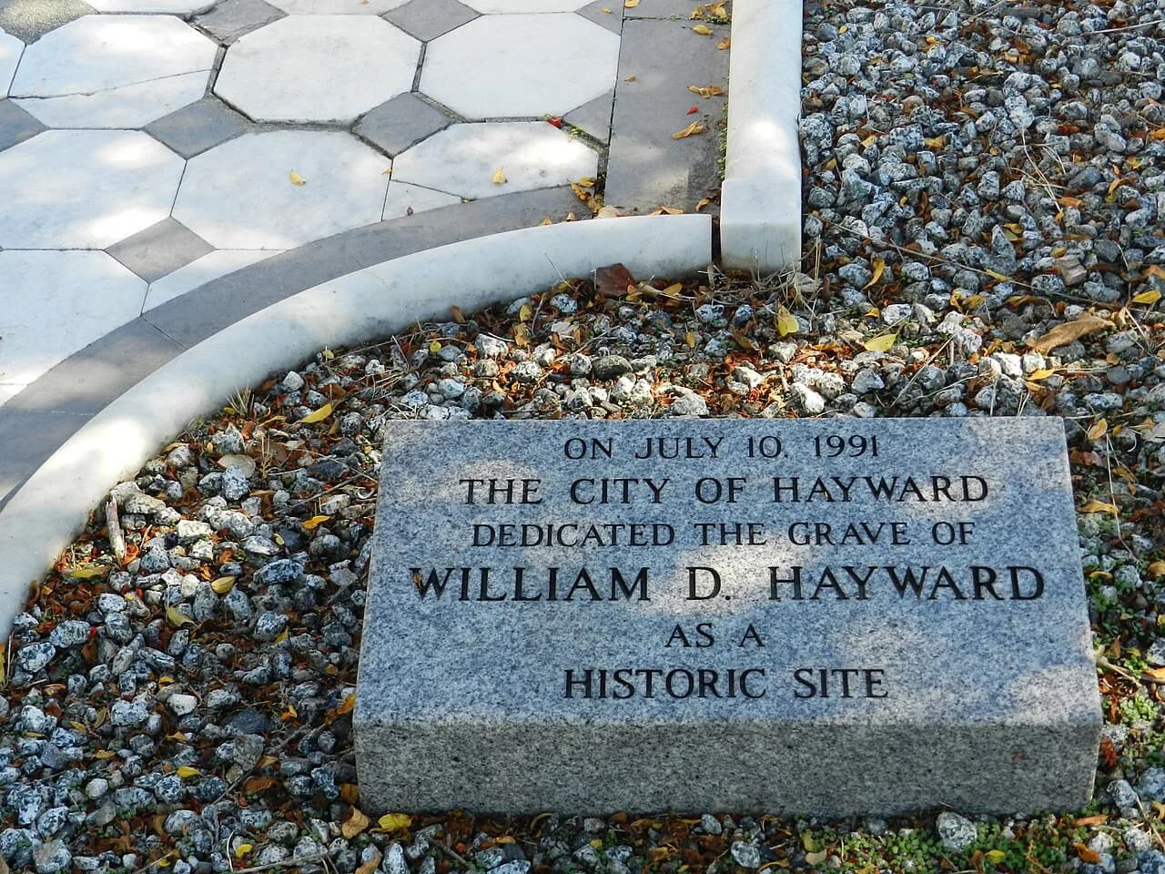 William Dutton Hayward