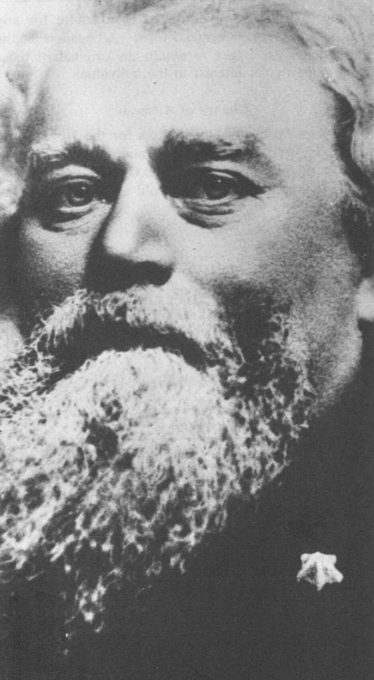 William Maxwell Wood