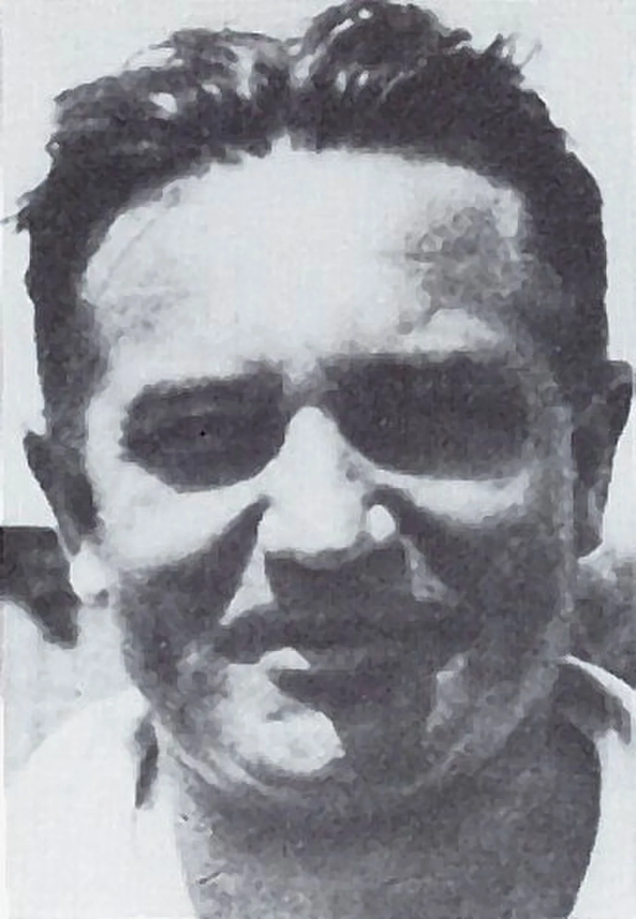 Władysław Dobrzaniecki