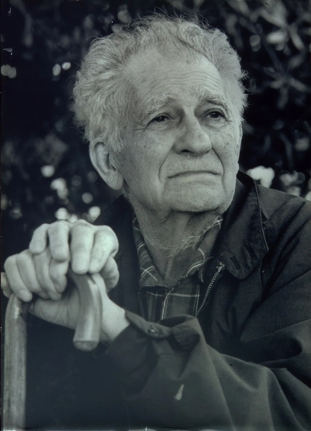 Zvi Brenner