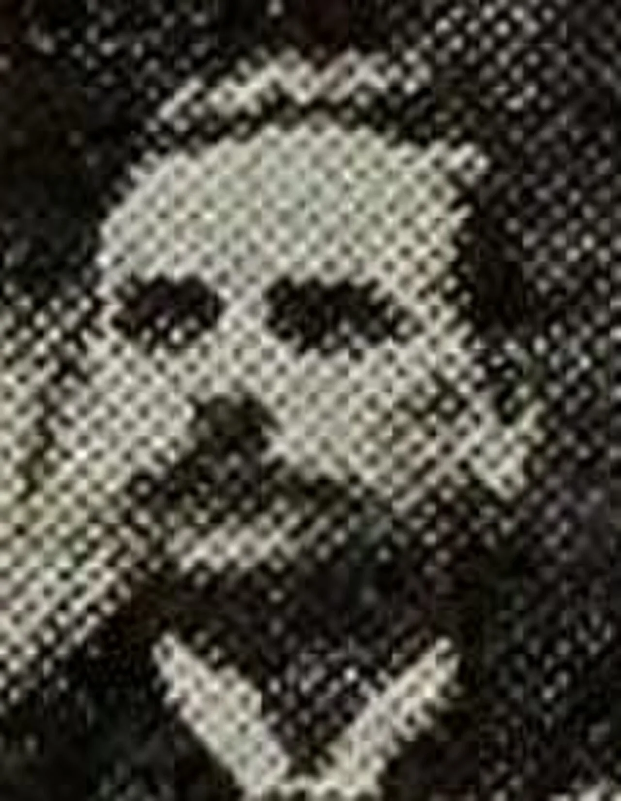 Bartolomeo Gosio