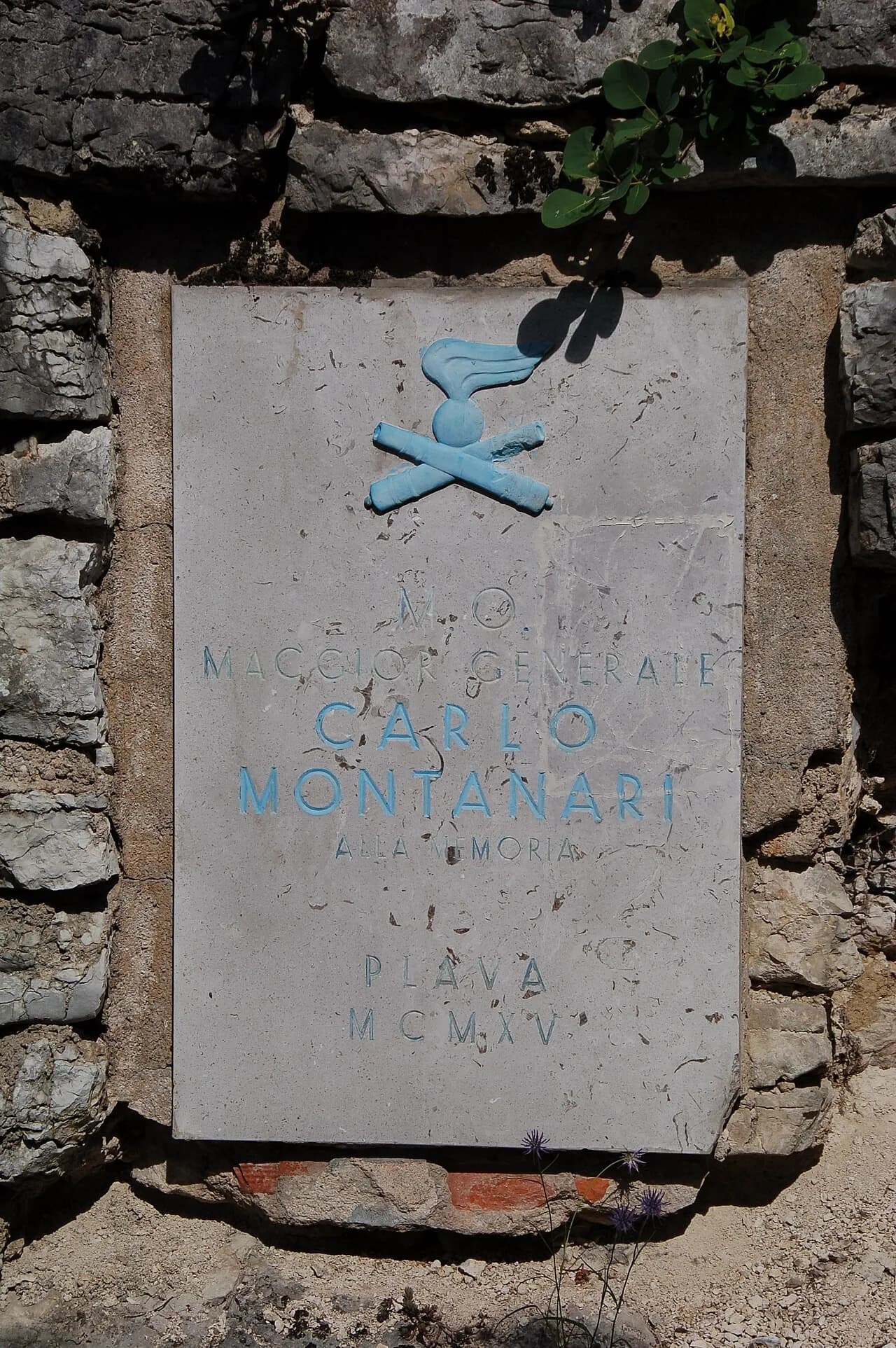 Carlo Montanari