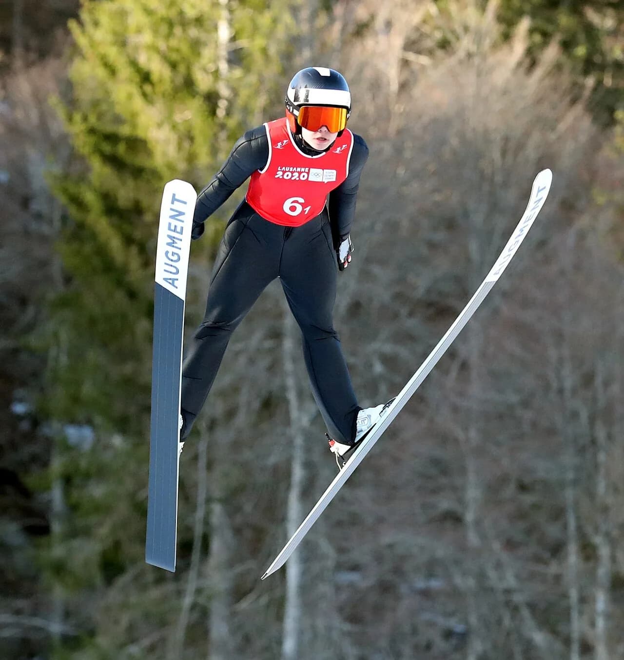 Johanna Bassani