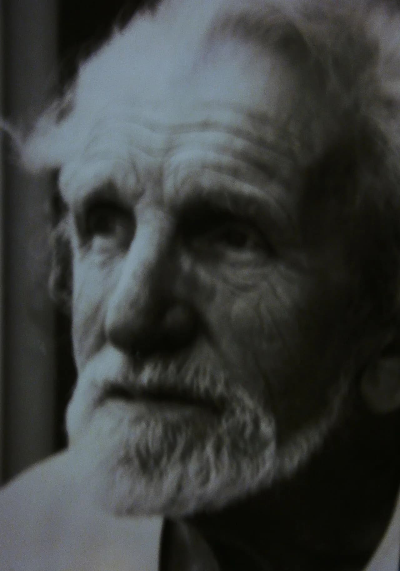 Herman Haan