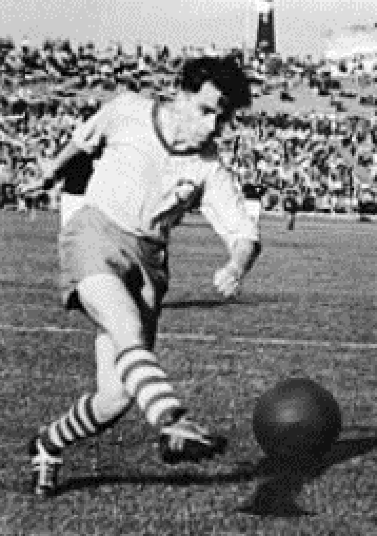 Günther Wirth