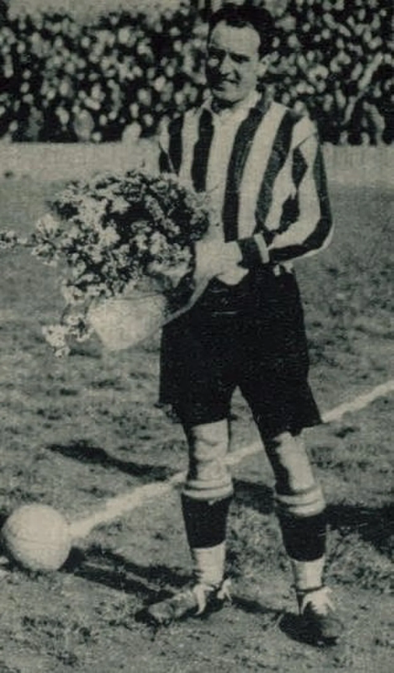 Carmelo Goyenechea