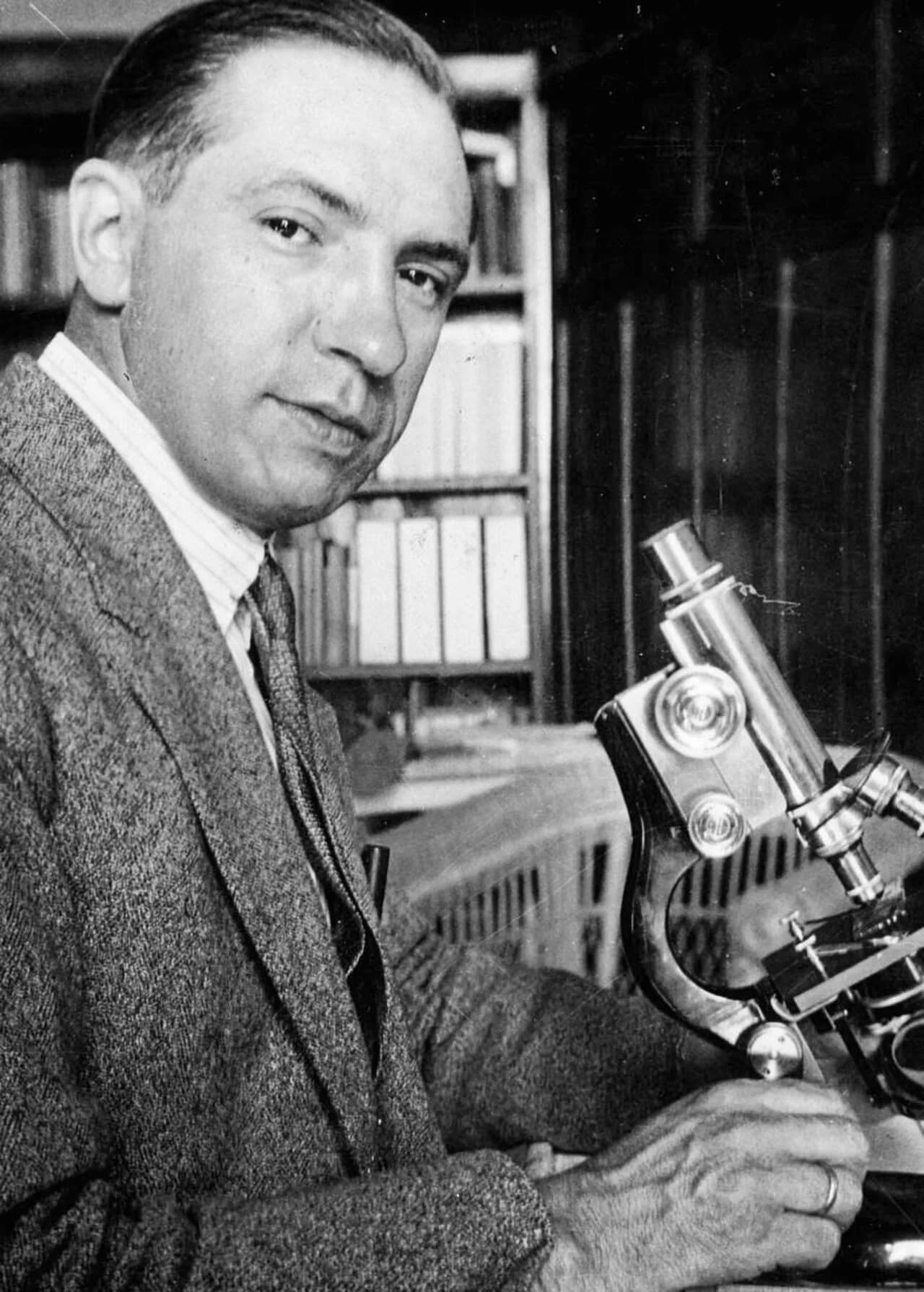 Cruz Gallástegui