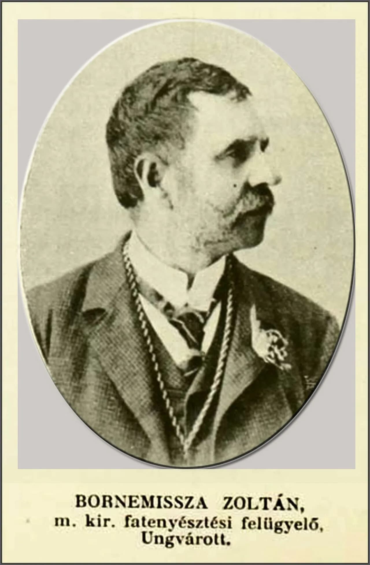 Zoltan Bornemisza