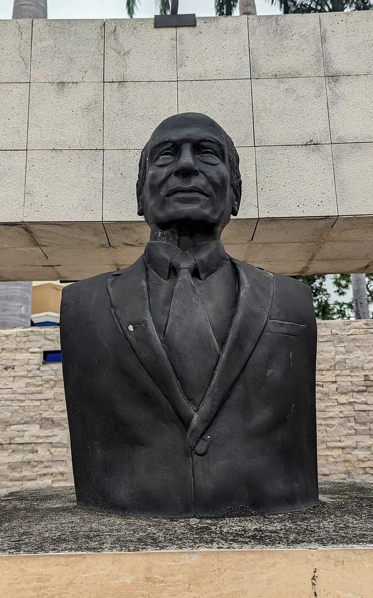 Nicolás Castro Benites