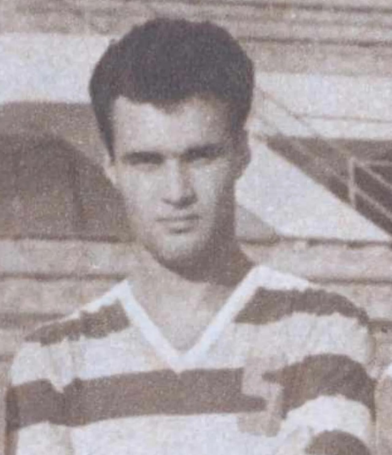 Vasile Sfetcu