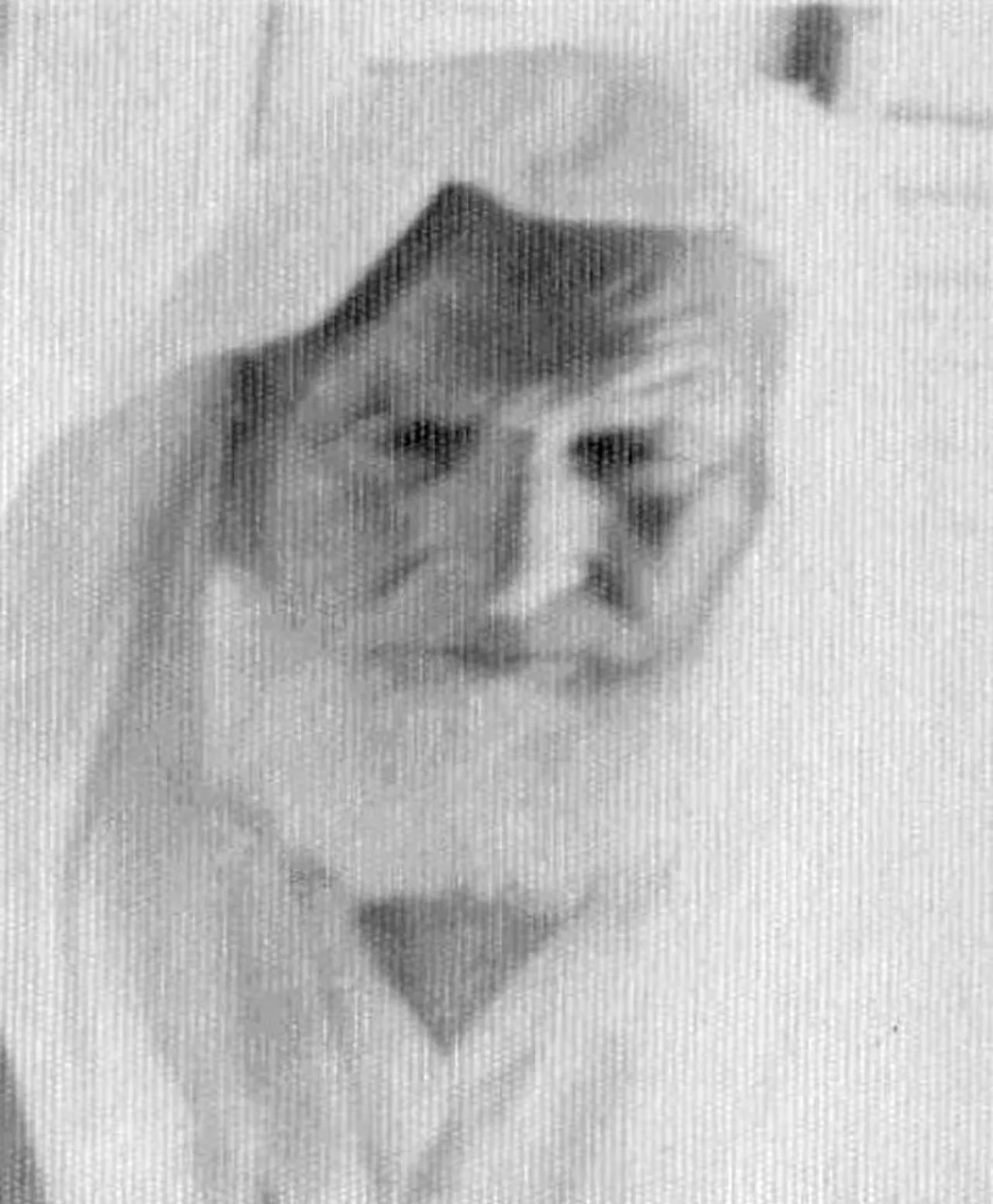 Mahmud Shuwayl