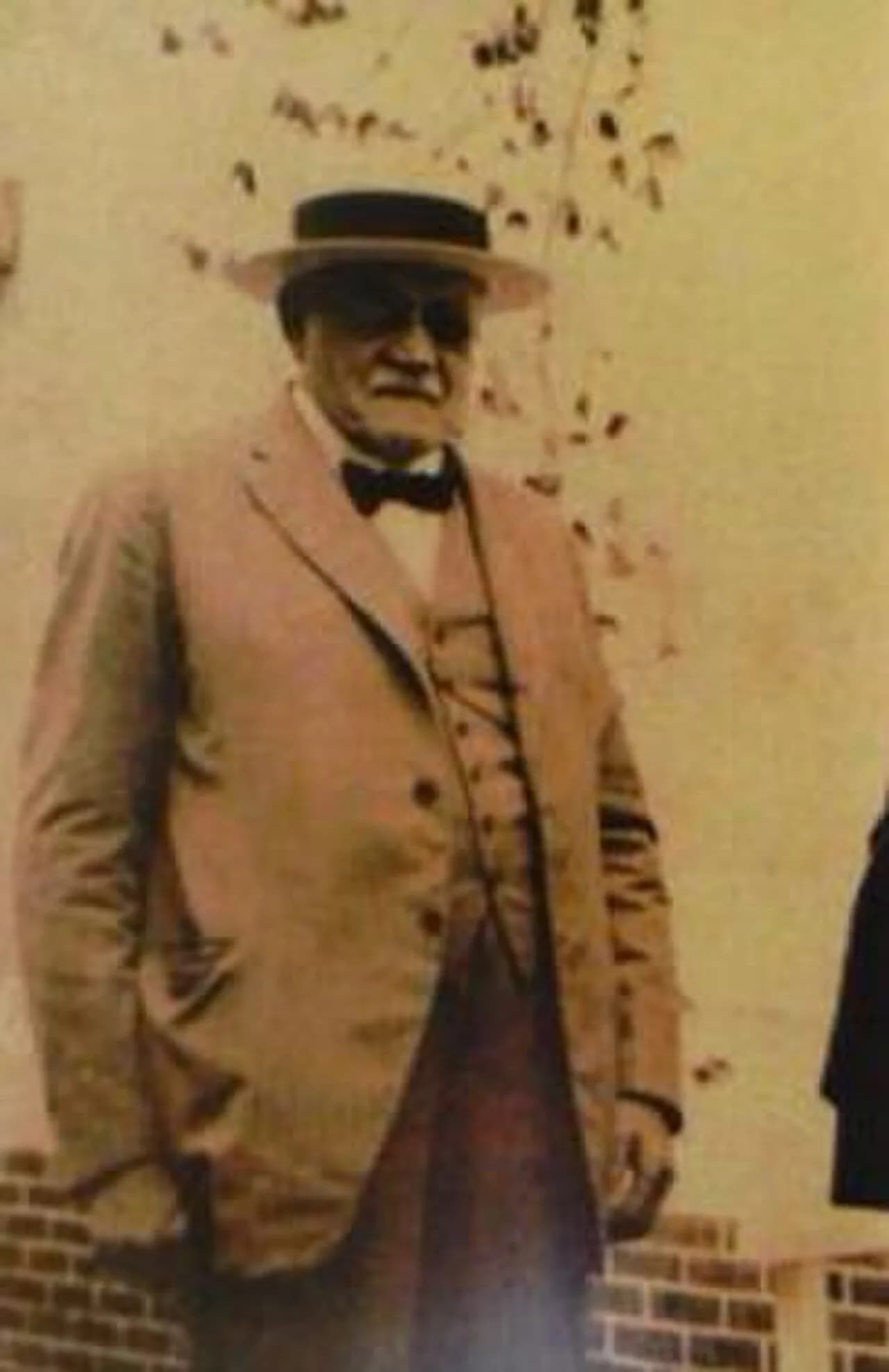 Domingo Bibolini