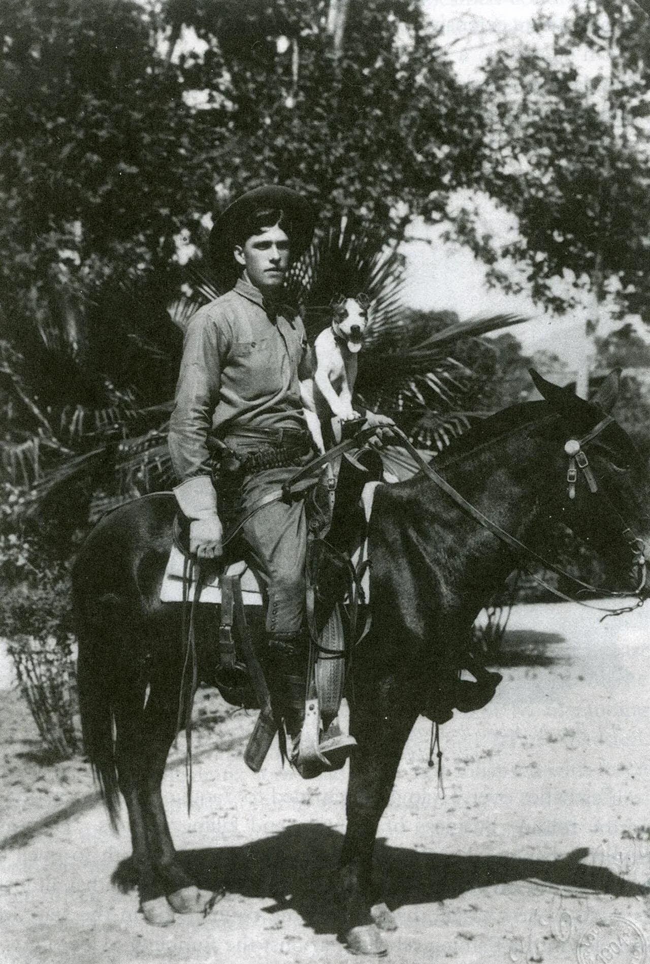 Emil Lewis Holmdahl