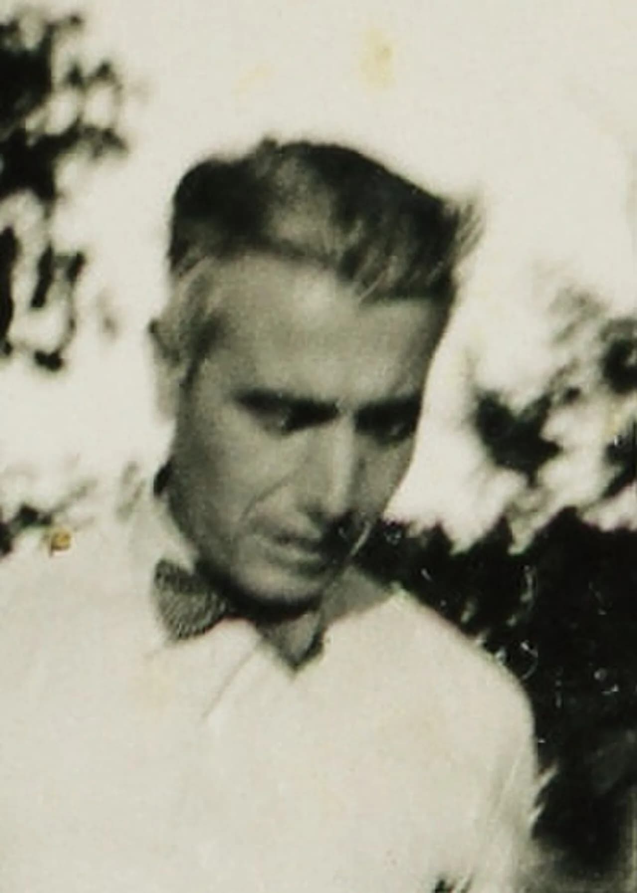 Ernesto Canto da Maia