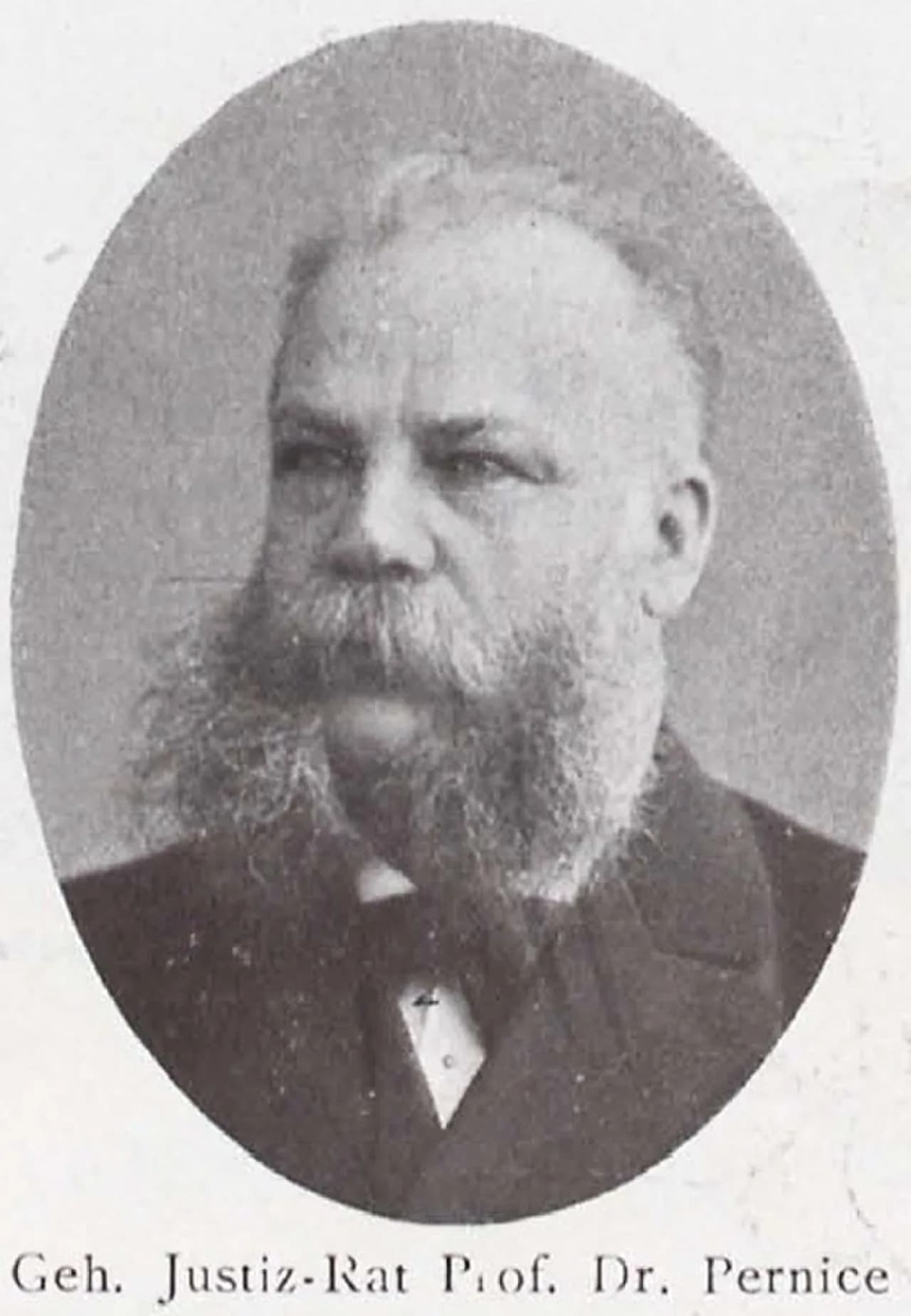 Alfred Pernice