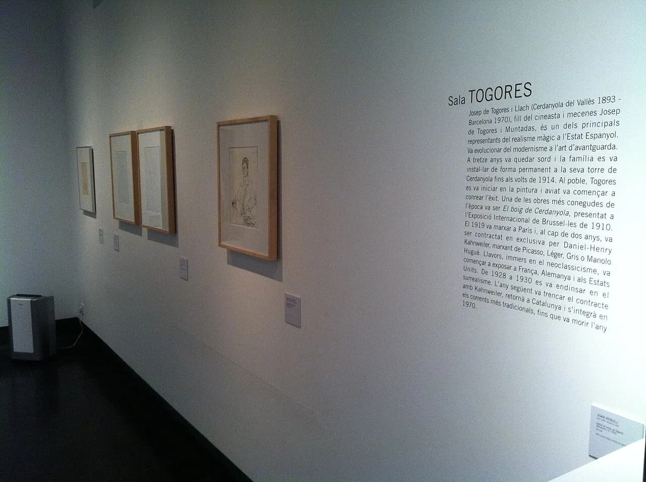 Josep de Togores