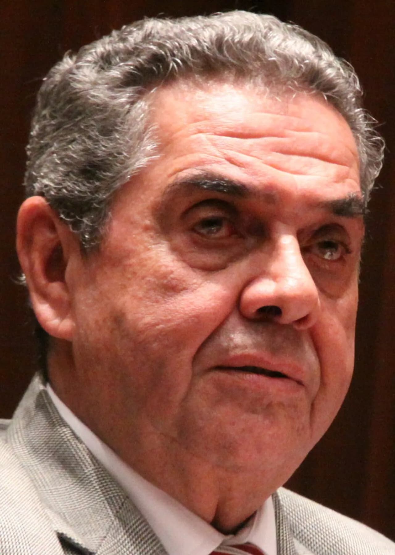 Leonardo Vicuña