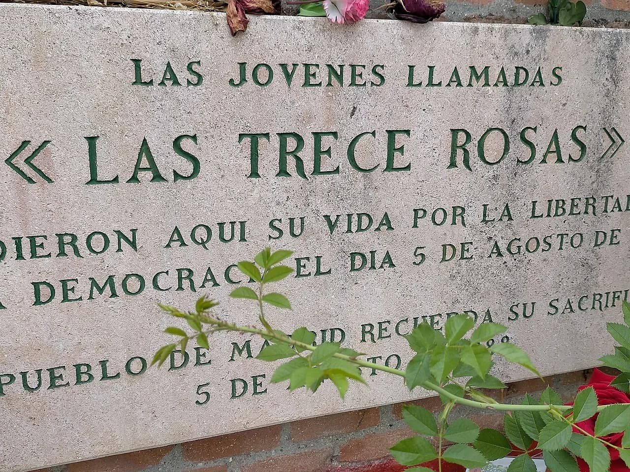 Pilar Bueno Ibáñez