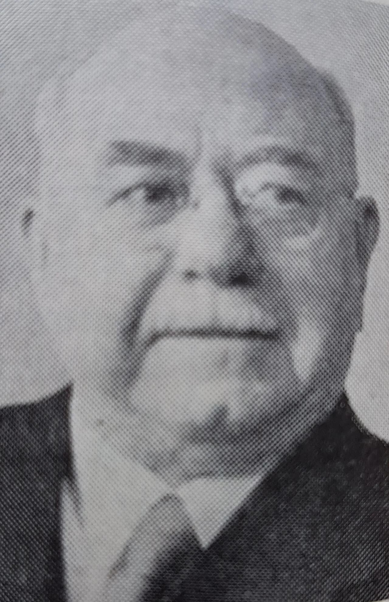 Albin Nylin