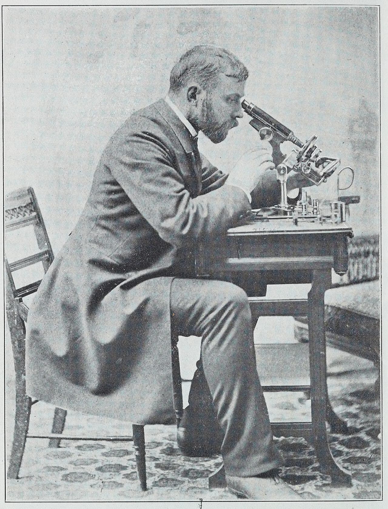 Bayard Taylor Holmes